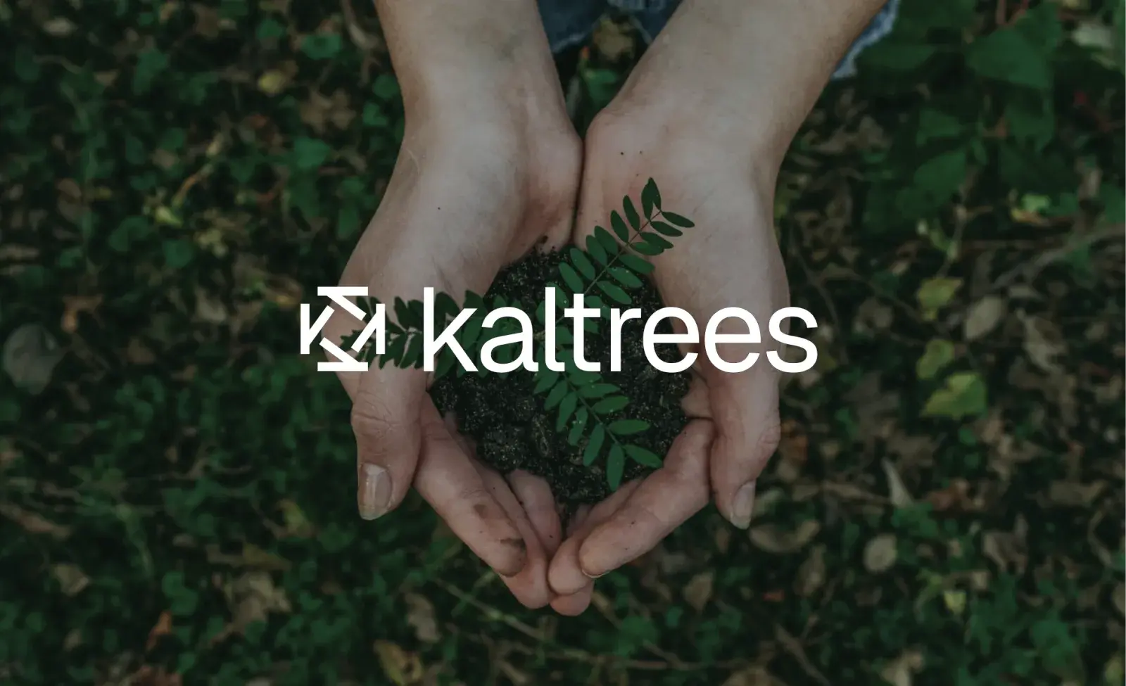 Kaltrees, view 4 of 4